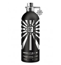 FANTASTIC OUD EDP 100 ML